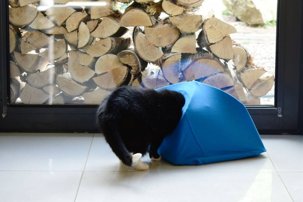 Namiot dla kota DIY