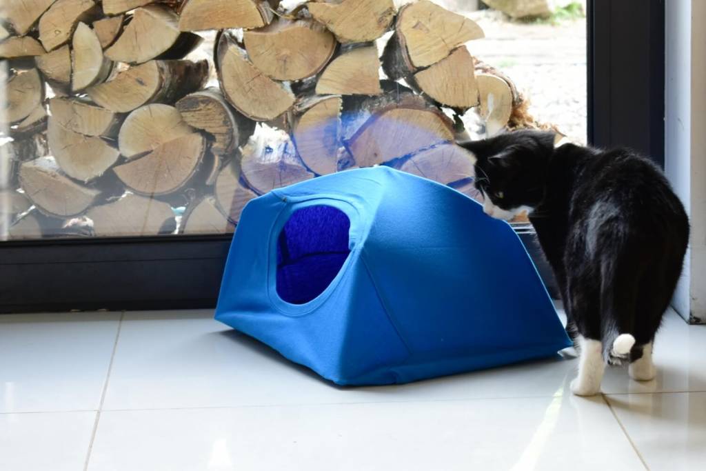 Namiot dla kota DIY